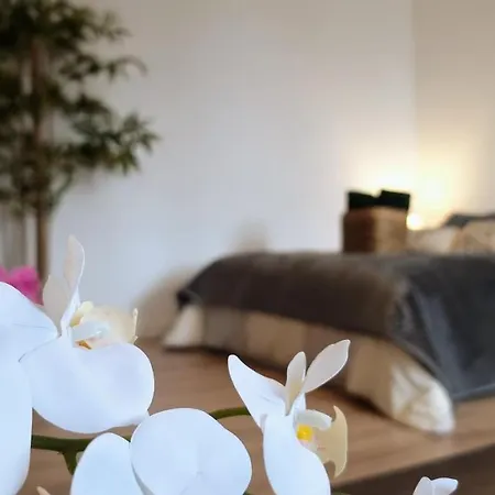 Apartment Havre De Paix - Lotus
